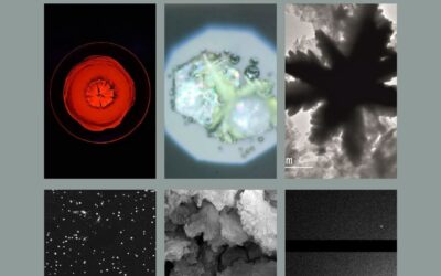 Seis imágenes científicas de investigadoras del ICMS ganan el concurso “CRAI Divulga Ciencia” de la Universidad de Sevilla